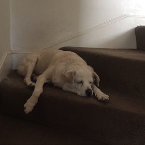 Meet your Posher, Patty